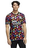 adidas San Jose Earthquakes MLS Men's Pride Pre-Match Short Sleeve Jersey, Multicolor Large