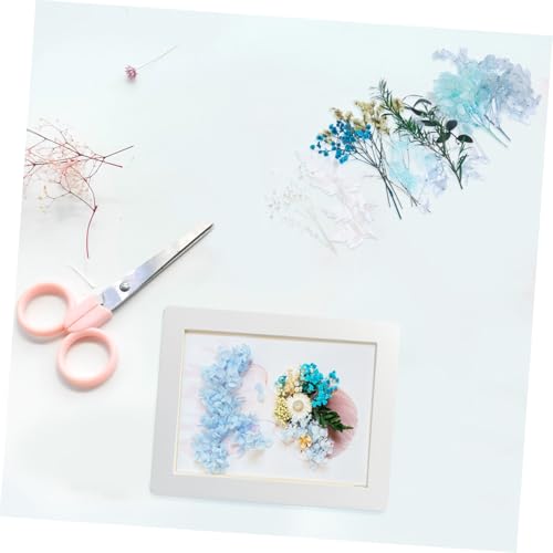 Flores secas prensadas para manualidades DIY miniatura 5