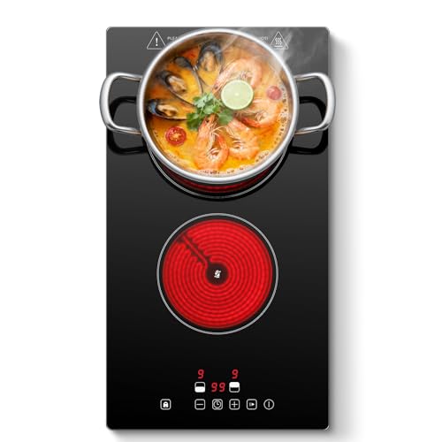 plaque vitrocéramique 2 feux, plaque de cuisson...