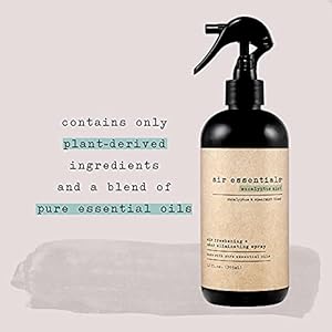 Air Essentials Air Freshener Odor Eliminator Spray 12 oz Pack of 2 Made with Pure Essential Oils Eucalyptus Mint Scent
