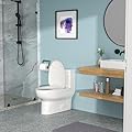 Sleek One-Piece Ceramic Toilet with Soft-Close Seat, Powerful Siphon Flushing for Modern Bathrooms