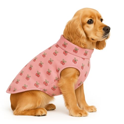 Image of The Pets Company Dog Winter Coat Jacket, Clothes, Windproof, Reversible, Light Weight, Washable, Ultra Warm Thick Fleece Lined Dog Vest for Cold Weather Protection, (Pink Cherry, Medium - 18 Inch)