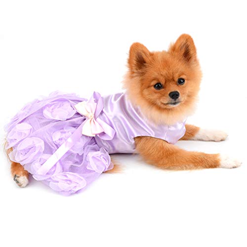 PAIDEFUL Abito per Cani di Piccola Taglia Vestiti