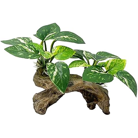 Smoothedo-Pets Fish Tank Decor Type-C Cover