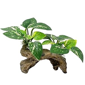 Smoothedo-Pets Fish Tank Decorations Aquarium Decor Ornaments Betta Silk Leaf pad Hammock Artifical Driftwood cave Goldfish Bowl Accessories (Type-C)