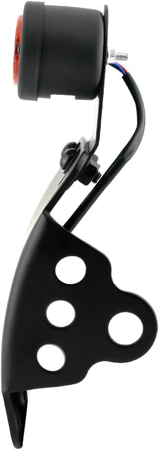 Motorcycle LED Side Mount License Plate Bracket Curved 3/4 inch axle Hole for Harley Touring Sporster Bobber Choppers