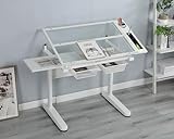 Grande solution de rangement : ce meuble polyvalent dispose de deux tiroirs en métal spacieux, parfaits pour garder vos fournitures bien rangées. Équipé de bandes de rangement en métal sur le côté, il est idéal pour contenir des stylos, des peintures et d'autres éléments essentiels. Améliorez votre espace de travail avec cette unité de rangement pratique et élégante, conçue pour répondre à tous vos besoins.