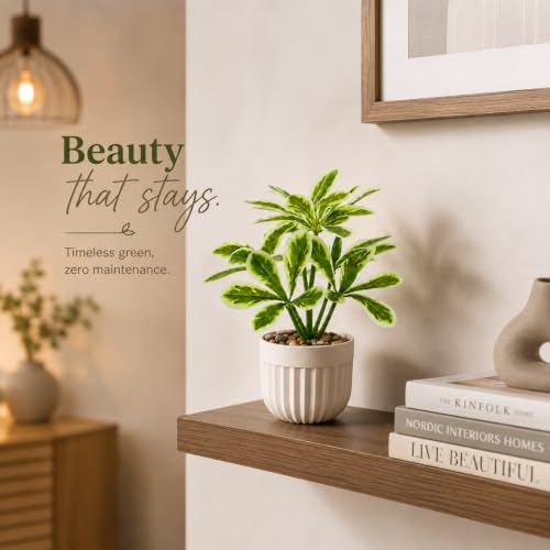 Image of CURATED CART Artificial Plant with Pot for Living Room, Home Decor, Office Tabletop & Indoor Decor, Fake Small Plant, Green Leaves Potted Plant, 24cm, Pack of 1