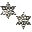 Mirror Star