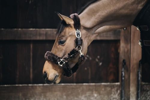 Cabestro Kentucky de lana sintética marrón para caballo 3