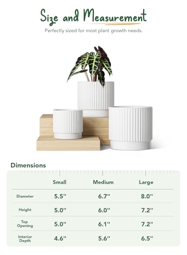 Image of LE TAUCI Ceramic Pots for Plants, 8+6.7+5.5 Inch Plant Pots Indoor, Flower Pot with Drainage Holes, Medium Cylinder Planters for Indoor House Plants, Set of 3, White