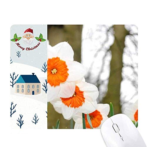 ԂƔ̉Ԃ̖ T^N[XƉS̃}EXpbh