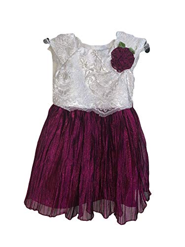 Jona Michelle Little Girl's (Kids) Special Occasion Dress (6, Wine/Ivory) #TOP11