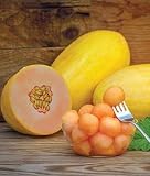 Mango Seed - 50 Seeds - Made in USA, Ships from Iowa.