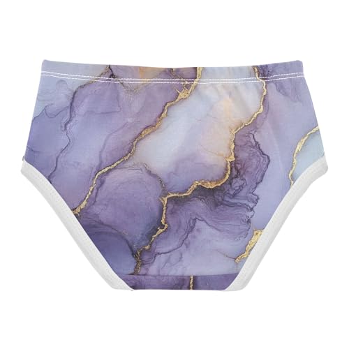 Underwear Underwear for Daily Wear Comfort Color for Toddler in Sizes 2T,3T, 4T, 5T, 6Y and 8Y2