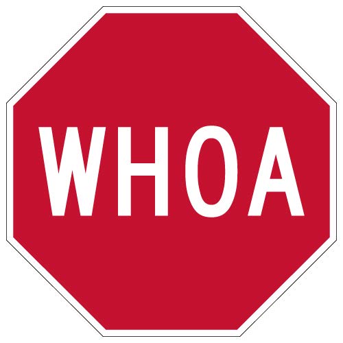 STOPSignsAndMore - Whoa Stop Sign - 18x18 (Red) - Reflective | Rust Free Aluminum