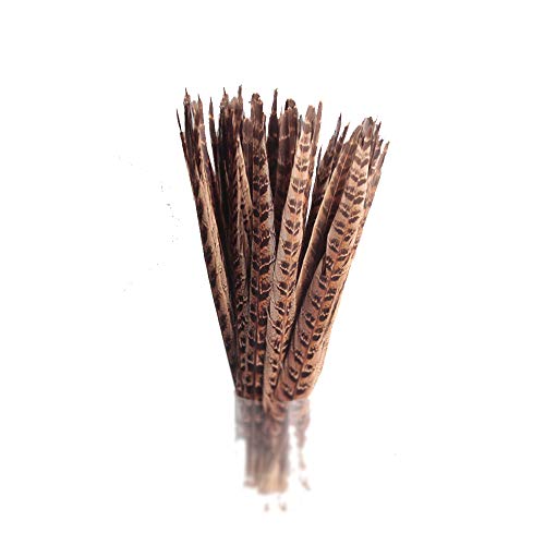 N-K Lot de 6 plumes de faisan naturelles décoratives pour loisirs créatifs, chapeaux et vêtements, 30-35 cm, couleur naturelle, créatif et utile, sécurité