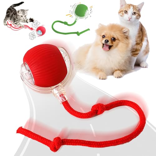 Image of Interactive Electric Automatic Rolling Moving Rechargeable Self Play Stimulation Toy for Cats and Small Dogs - Smart Pet Chase Ball with Speedy Tail Rope for Indoor Multicolour