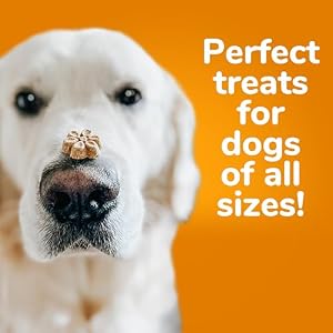 Fruitables Dog Treats Pumpkin & Banana Flavor, 7 oz Fruitables Dog Treats Pumpkin & Banana Flavor, 7 oz