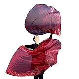 WINE SHIMMER Angel Wing from Catch the Fire Worship Flags, Praise & Worship Dance Flags, Prophetic Worship, Christian Dance in Church, Beautiful Single Layer, (2 ct), Flexible Poles