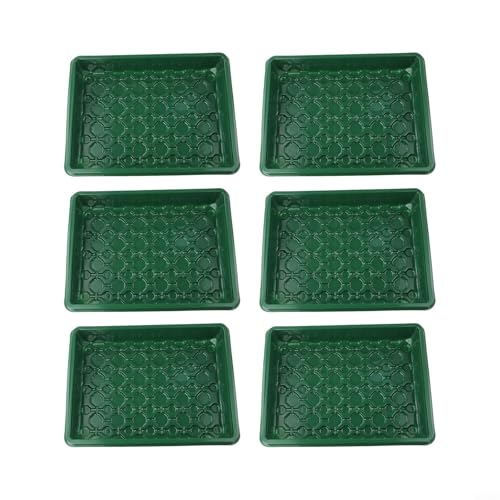 Châssis de croissance pour plantes succulentes en plastique compact - 3