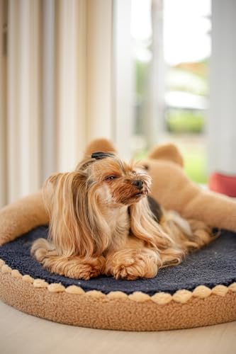 Caminha abraço de urso, e uma cama com tecidos macios, oferece conforto e um toque divertido para o