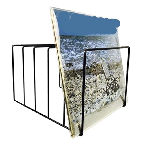 Elegancki stojak do przechowywania płyt winylowych LP płyta winylowa półka ekspozycyjna drut winylowy uchwyt na płyty (10,24 x 4,72 x 4,72 cm)