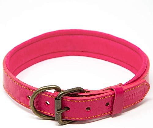 Logical Leather Leather Padded Dog Collar | 100% Genuine Full Grain Leather Dog Collar With Riveted Strap Ends & Premium Hardware | Brown | Small