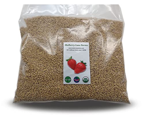 Soft White Wheat Berries 4 Pounds Kernels, USDA Certified Organic, Non-GMO Bulk, Product of USA, Mulberry Lane Farms