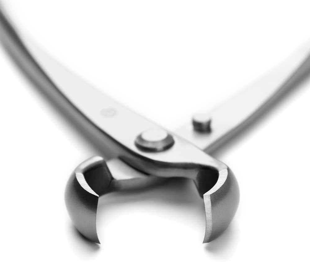 TianBonsai Bonsai Tools 205 Mm Knob Cutter Concave Cutter