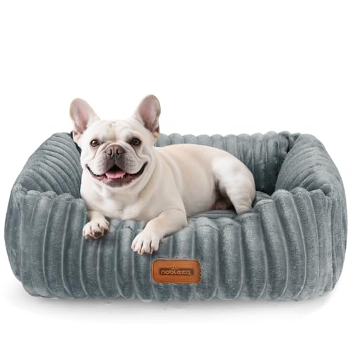 Nobleza Hundebett, Hundebett Waschbar für Kleine Hunde, 55x45x20cm Hundekörbchen mit Weicher Schwammfüllung, rutschfeste Unterseite, Abnehmbarer Bezug, Grau., 9.99 €