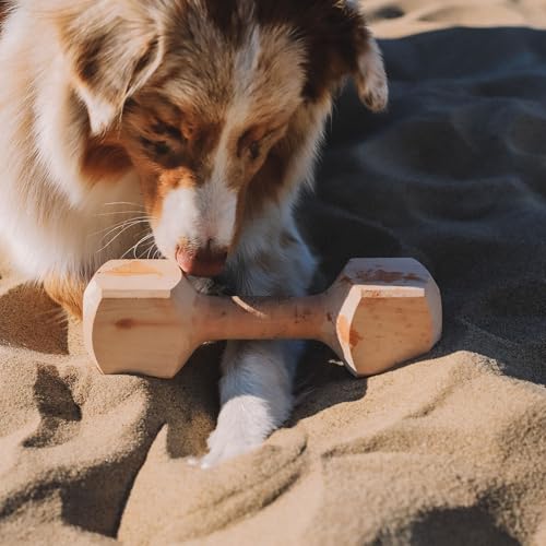 Dingo Apportier Holz aus einem Stück Erlenholz Apport für Gehorsam Obedience Spiel, Spaß und Hundetraining 400 g 17553