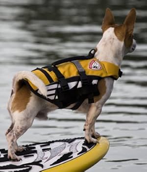 EZYDOG イージードッグ ライフジャケット Mサイズ Amazon | EZYDOG(イージードッグ) [正規代理店品] DFD