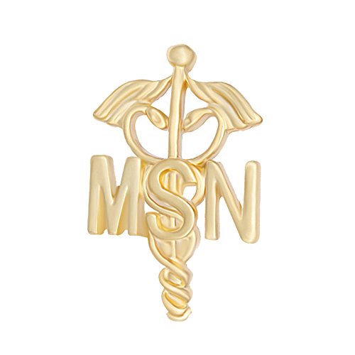 Image of Prestige Emblem Pin, BSN MSN Nurse Doctor Brooch Pins