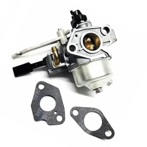 Carburateur 817370 compatible avec moteurs de motoculture 19N132 19T137 19N137 19T132