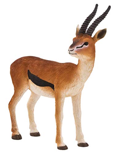 Mojo Fun 387122 Male Thomson Gazelle - Realistic International Wildlife Toy Replica by Mojo Fun - Wildlife