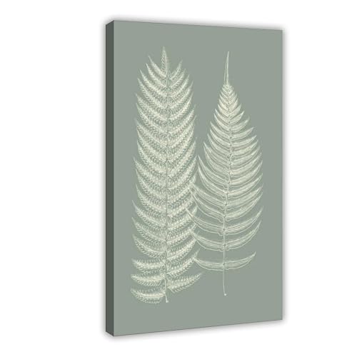 Poster fougère vert sauge 30x45 cm sur toile pour la décoration de chambre