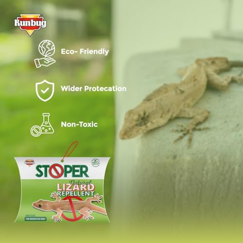 Stoper Natural Lizard Repellent Box| Non-Toxic | Indoor Use | 100% Organic -20g (Pack of 4)