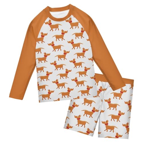 Boys Rash Guard Set Funny Dog Piece UP50+ Swim Set for Boys 3T-10T