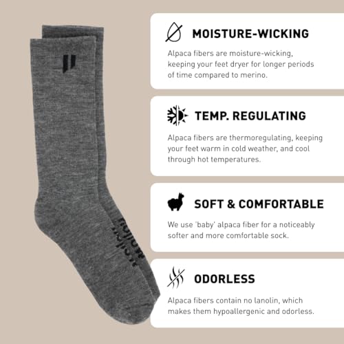 HOLLOW Alpaca Boot Socks for Men and Women, Moisture Wicking Alpaca Socks for Hiking, Running, Outdoors, Any Season Boot Sock, Temperature Regulating, Light Compression, Large, Grey