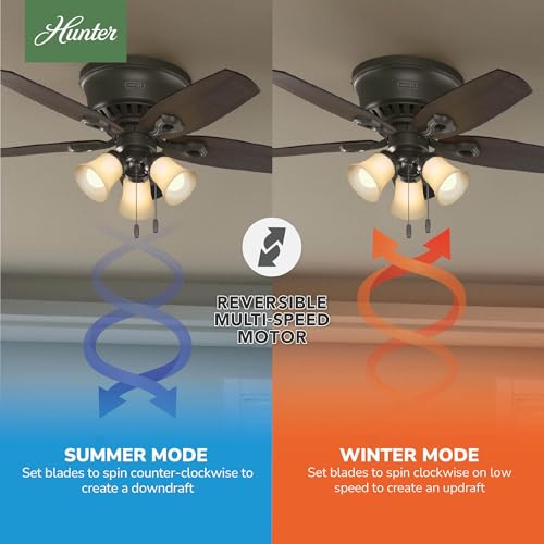 Image of Hunter Builder, Indoor, Ceiling Fan, with LED Lights, 42 inch, New Bronze