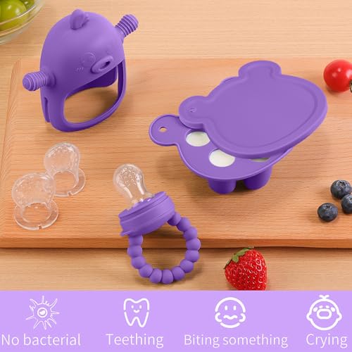 image for Gedebey Baby Fruit Food Feeder Breastmilk Popsicle Molds for Teething 