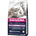 Eukanuba Junior Katzenfutter trocken - Premium Trockenfutter für Kitten von 1-12 Monate, fördert gesundes Wachstum, hoher Fleischanteil, 2 kg