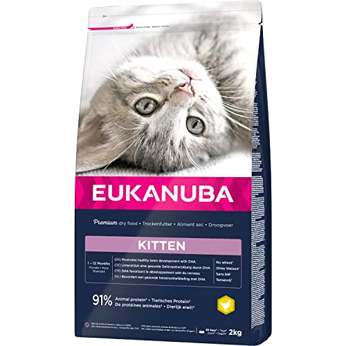 Eukanuba Junior Katzenfutter trocken - Premium Trockenfutter für Kitten von 1-12 Monate, fördert gesundes Wachstum, hoher Fleischanteil, 2 kg