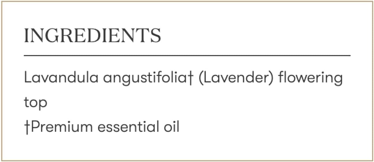 Young Living Lavender Essential Oil | 15 ml | Soothing & Relaxing Aroma for Massage, Aromatherapy, & Skin Care | Calms the Mind & Enhances Relaxation | Authentic Fragrance for Perfume