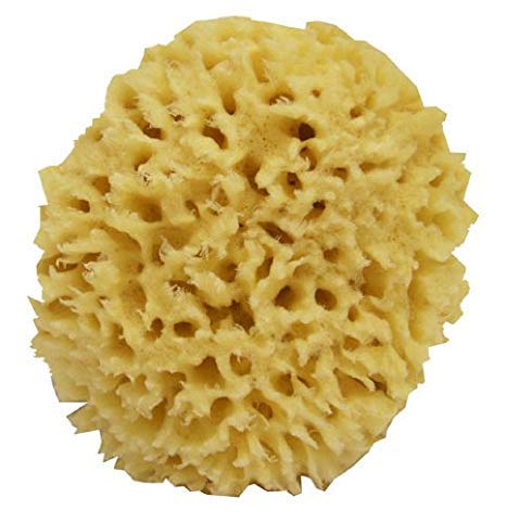 Sea wool baby bath sponge for natural healthy bathing dishes loofah sponges,6 inch-picture-23