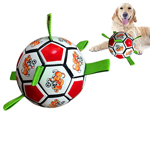 Palla Per Cani Five Senses - Aroma Manzo, Multi Texture, Stimola I Sensi - Foto 4