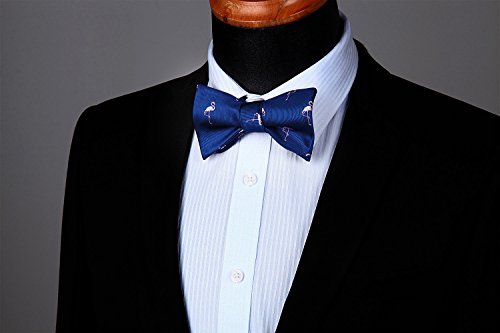 Image of HISDERN Bow Ties for Men Self Tie Animal Bowties Pocket Square Woven Silk Fun Bowtie Handkerchief Set for Wedding Party