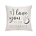 Fundas de Almohada con Texto en inglés I Love You To The Moon and Back, Fundas de Almohada para el día de la Madre, Regalo del día de San Valentín, decoración de sofá Cama, Fundas de Almohada de