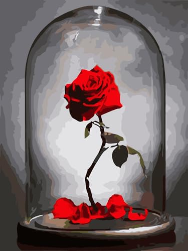 Peinture par numéros kit complet adulte débutant cadre bois 40x50